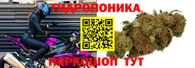 гашик Нарткала